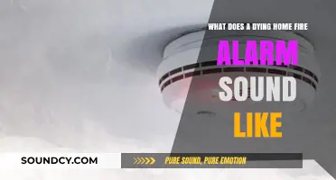 Echoes of Danger: The Haunting Sound of a Dying Home Fire Alarm