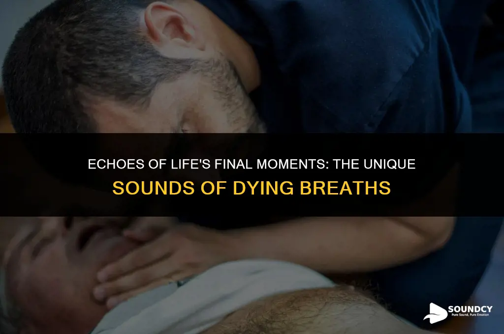 what does a dying person