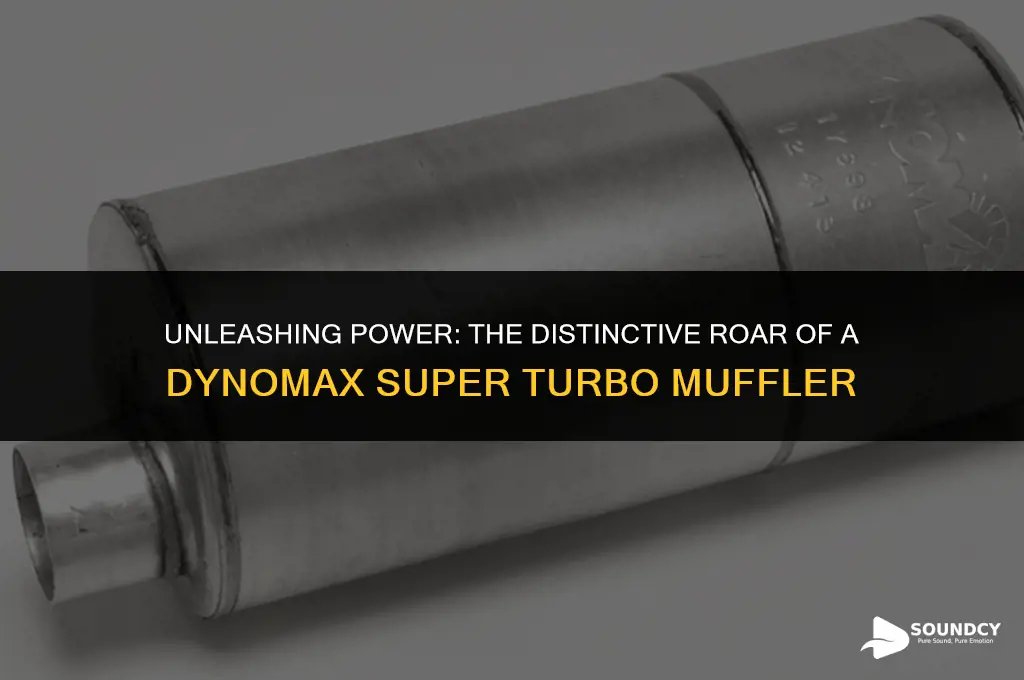 what does a dynomax super turbo muffler sound like