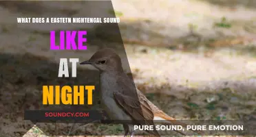 Echoes of the Eastern Nightingale: A Nocturnal Serenade Unveiled