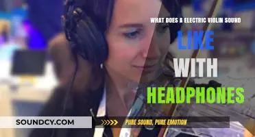 Exploring the Sonic World: Electric Violin Through Headphones