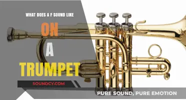 Exploring the Trumpet's Timbre: What Does the F Sound Like?