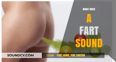 Exploring the Science and Sounds Behind Human Flatulence