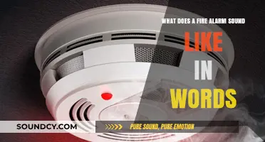 Echoes of Urgency: Describing the Distinct Sound of a Fire Alarm