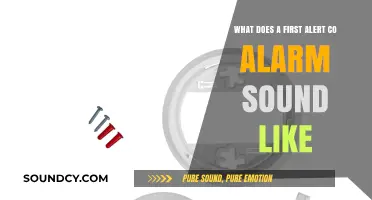 Understanding First Alert CO Alarms: A Guide to Their Sound