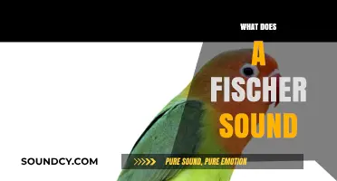 Unveiling the Unique Sounds of a Fischer: A Comprehensive Guide