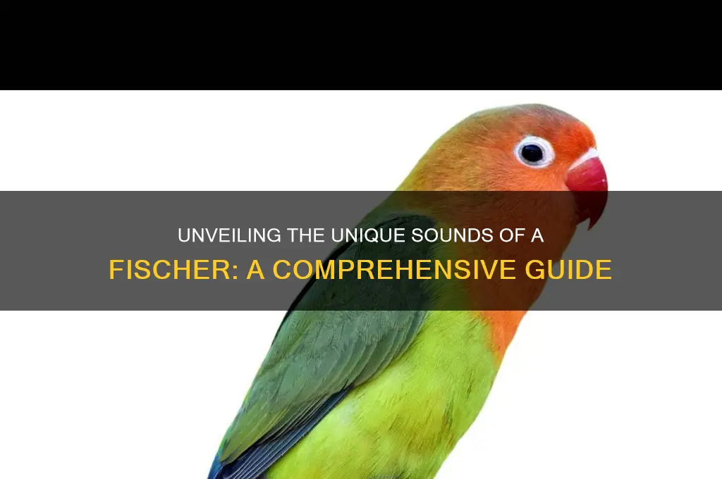 what does a fischer sound