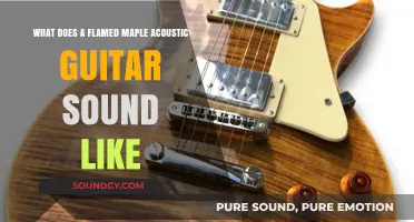 Exploring the Rich Tones of a Flamed Maple Acoustic Guitar