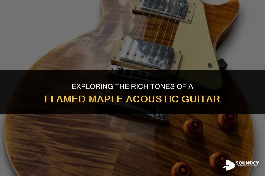 what does a flamed maple acoustic guitar sound like