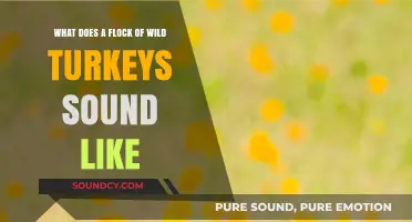 Echoes of the Wild: Unraveling the Sounds of a Turkey Flock