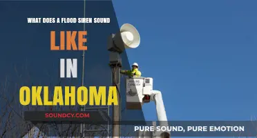 Echoes of Urgency: Decoding the Sound of Oklahoma's Flood Sirens