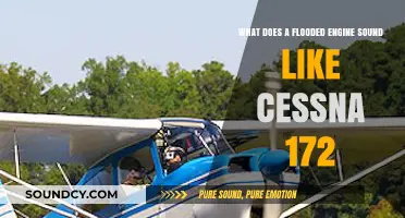 Diagnosing Disaster: The Distinct Sound of a Flooded Cessna 172 Engine