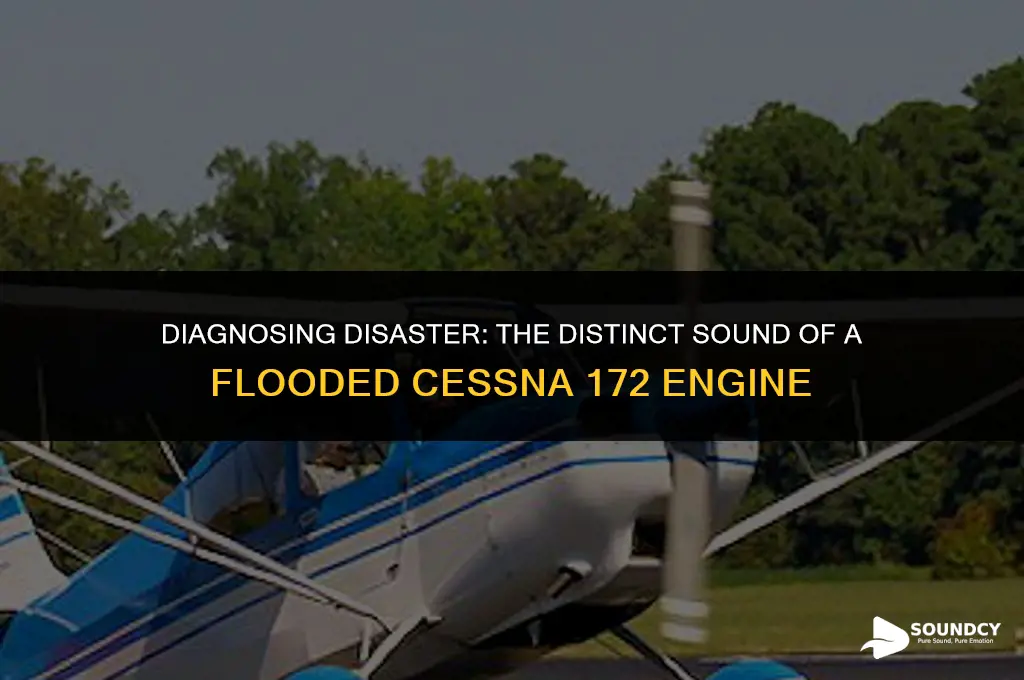 what does a flooded engine sound like cessna 172