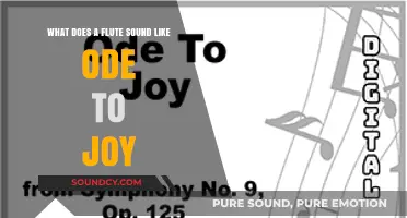 Flute's Melody: An Ode to Joy's Timeless Harmony