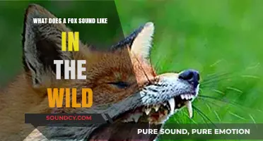 Echoes of the Wild: Unveiling the Mystique of Fox Vocalizations