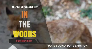 Echoes of the Wild: Unveiling the Mystical Calls of Foxes in the Forest