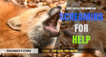 The Agonizing Cry: What Does a Fox Sound Like Screaming for Help?