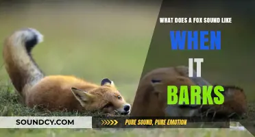 Unveiling the Unique Bark of Foxes: What Does a Fox Sound Like?