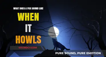 Echoes of the Wild: Unraveling the Mystique of a Fox's Howl