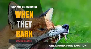Decoding the Canine Chorus: What Does a Fox's Bark Sound Like?