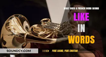 Echoes of Elegance: Describing the French Horn's Sonic Beauty