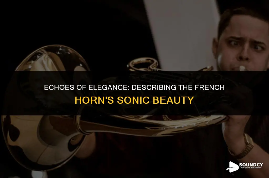 what does a french horn sound like in words