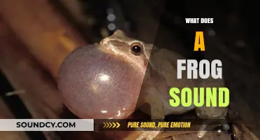 Exploring the Unique Sounds of Frogs: A Comprehensive Guide