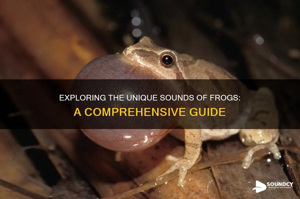 what does a frog sound