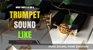 Exploring the Sonic Nuances: What Does a G on a Trumpet Sound Like?