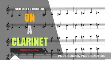 Exploring the Rich Timbre of the Clarinet's G Note