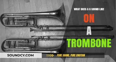 Exploring the Unique Timbre: What Does a G Sound Like on a Trombone?