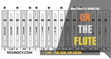 Exploring the Sonic Nuances: What Does a G Sound Like on the Flute?