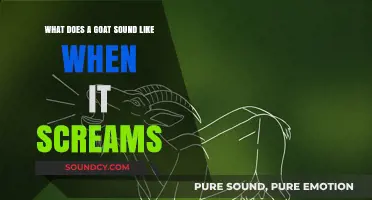 The Surprising Scream of Goats: Unveiling Their Unique Vocalizations