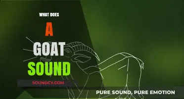 Unraveling the Unique Sounds of Goats: What Does a Goat Sound Like?