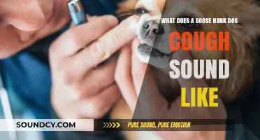 Decoding the Sounds: Goose Honks vs. Dog Coughs