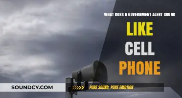 Decoding Emergency Alerts: What to Expect When Your Phone Buzzes