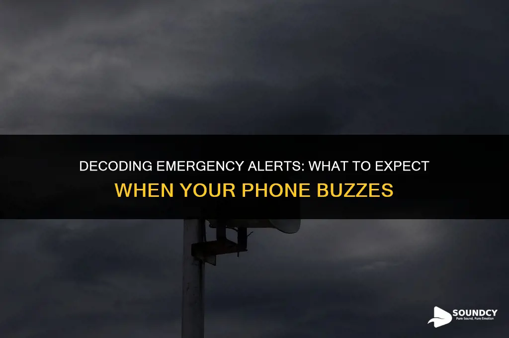 what does a government alert sound like cell phone