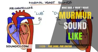 Understanding the Gentle Whisper of a Grade 1 Heart Murmur