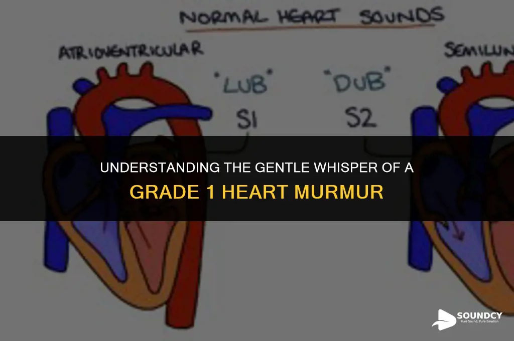 what does a grade 1 heart murmur sound like