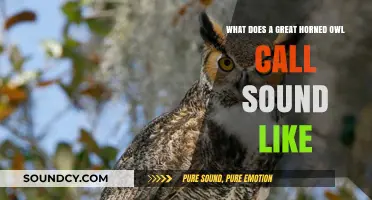 Echoes of the Night: Unraveling the Haunting Call of the Great Horned Owl
