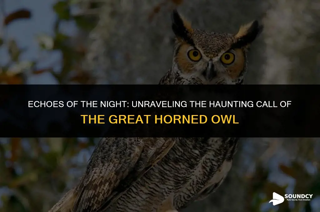 what does a great horned owl call sound like