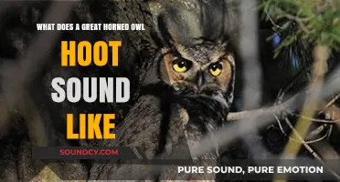 Echoes of the Night: Unraveling the Haunting Hoot of the Great Horned Owl