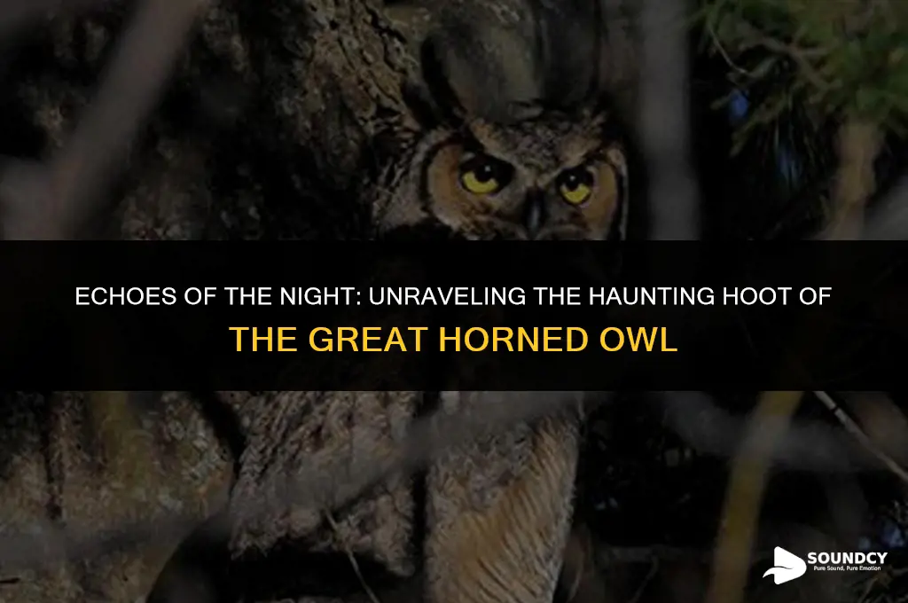 what does a great horned owl hoot sound like