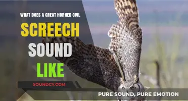 Echoes of the Night: Decoding the Haunting Screech of the Great Horned Owl