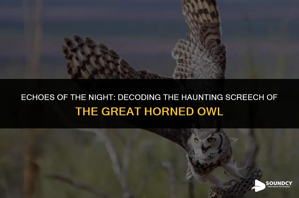 what does a great horned owl screech sound like