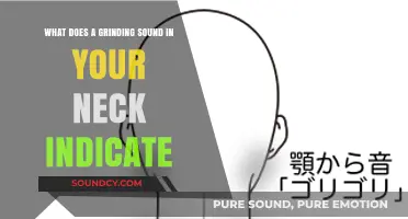 Decoding Neck Noises: What's Behind That Grinding Sound?