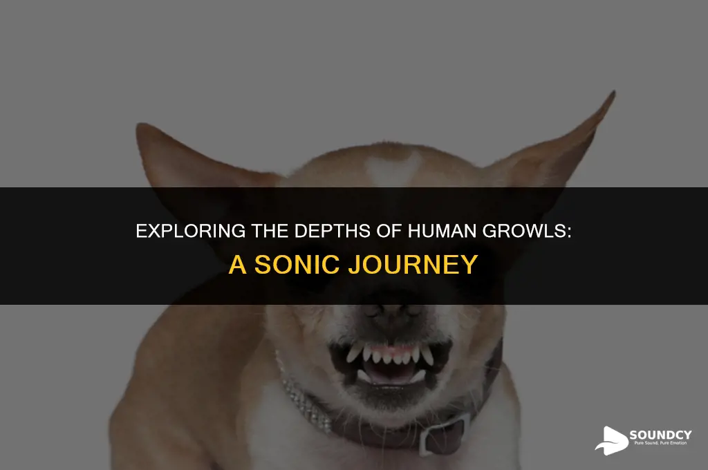 what does a growl sound like from a human