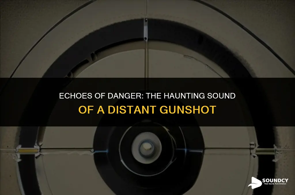 what does a gunshot in the distance sound like