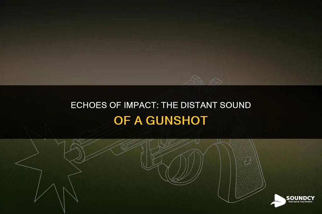 what does a gunshot sound like at 200 yard