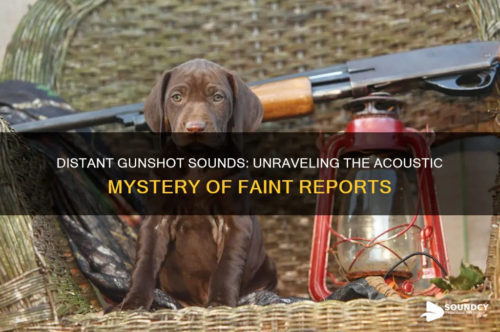 what does a gunshot sound like from a distance